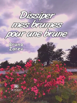 cover image of Dissiper mes brumes pour une brune